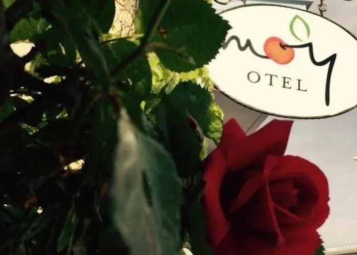 Moy Penzion Alaçatı